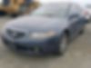 JH4CL96915C001760-2005-acura-tsx-1