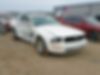 1ZVFT80N275206877-2007-ford-mustang-0