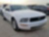 1ZVFT80N775239678-2007-ford-mustang-0