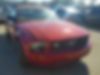 1ZVHT84N585176066-2008-ford-mustang