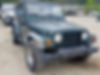 1J4FY19S3XP433210-1999-jeep-wrangler