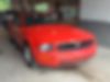 1ZVHT84N785146034-2008-ford-mustang-0