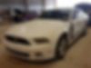 1ZVBP8AM6D5256301-2013-ford-mustang