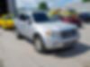 1FMCU0D74BKB95094-2011-ford-escape-xlt-0