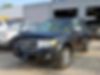 1FMCU0D78BKB25159-2011-ford-escape-xlt-0