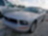 1ZVHT84NX85176189-2008-ford-mustang-1