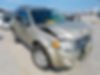 1FMCU0D79CKA17442-2012-ford-escape-xlt-0