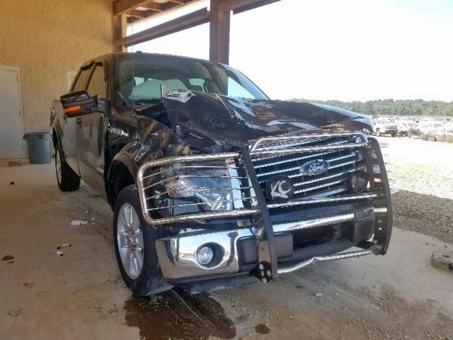 1FTFW1ET8DKF90878-2013-ford-f150-0