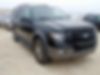 1FMJU1J50BEF13100-2011-ford-expedition-0