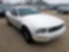 1ZVHT80N495143308-2009-ford-mustang-0