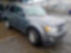 1FMCU0D74CKA02833-2012-ford-escape-xlt-0