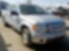 1FTEW1C81AFB18018-2010-ford-f150-0