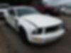 1ZVHT80N385114591-2008-ford-mustang-0