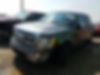 1FTEW1CMXDFD80430-2013-ford-f-150-0