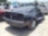 1ZVHT80N295109593-2009-ford-mustang-2