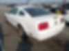 1ZVFT80N775276164-2007-ford-mustang-1