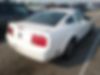 1ZVFT80N775276164-2007-ford-mustang-2