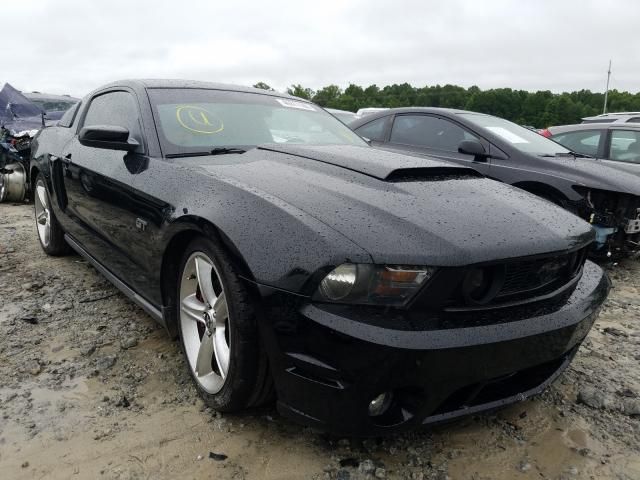 1ZVBP8CH2A5102177-2010-ford-mustang-0