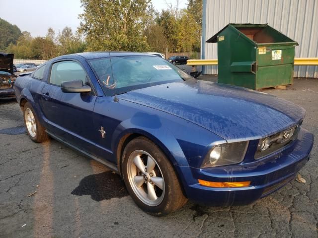 1ZVHT80N885163589-2008-ford-mustang-0