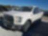 1FTEW1EGXGKF76466-2016-ford-f-150