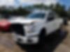 1FTEW1EP8GFC18422-2016-ford-f-150-1