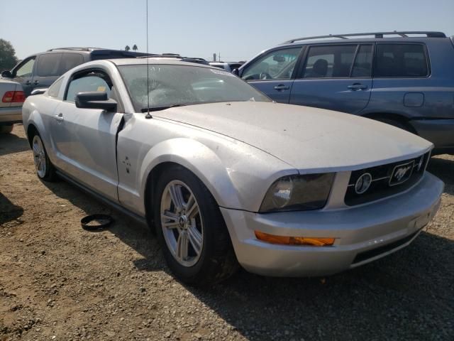 1ZVHT80N065135573-2006-ford-mustang-0