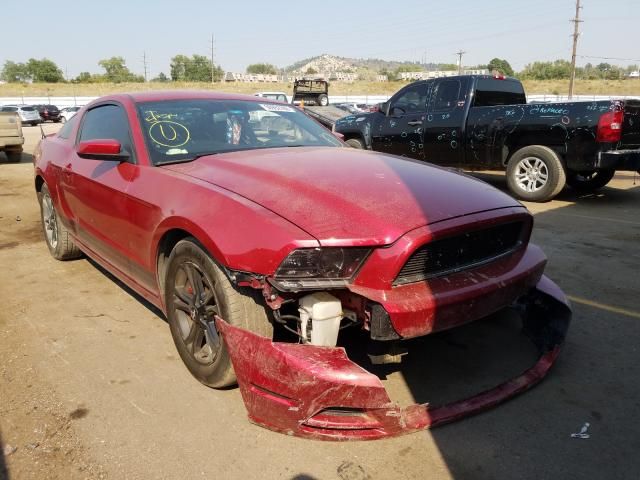 1ZVBP8AM6D5243838-2013-ford-mustang-0