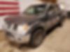 1N6AD07W37C407917-2007-nissan-frontier-1