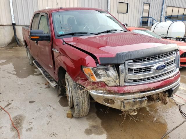 1FTFW1ET1DFD66120-2013-ford-f-150-0