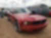 1ZVHT80N885137364-2008-ford-mustang-0