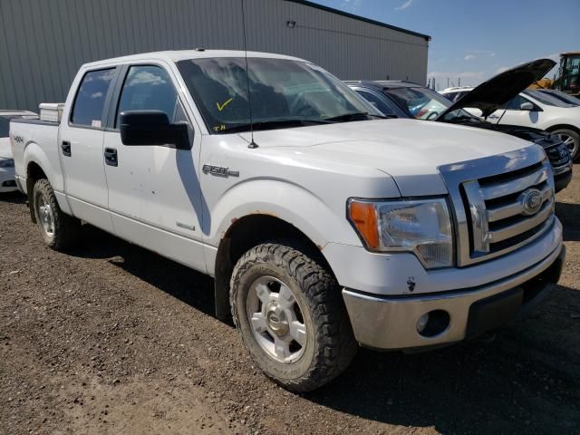 1FTFW1ET6CKD66300-2012-ford-f-150-0