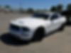 1ZVHT82H985147764-2008-ford-mustang-1