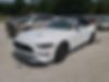 1FATP8UHXK5106491-2019-ford-mustang-1