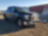 1FTEW1EP7GFA09849-2016-ford-f-150-0