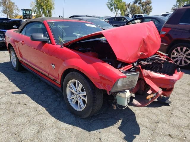 1ZVHT84N995108113-2009-ford-mustang-0