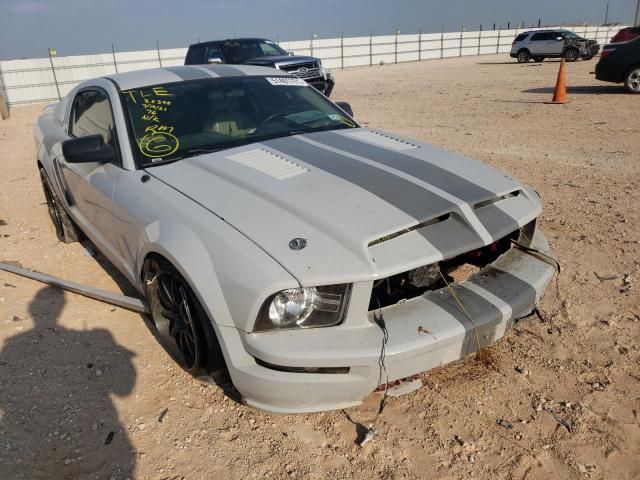 1ZVFT82H965128717-2006-ford-mustang-0