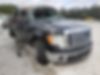 1FTEW1C89AFB95784-2010-ford-f-150-0