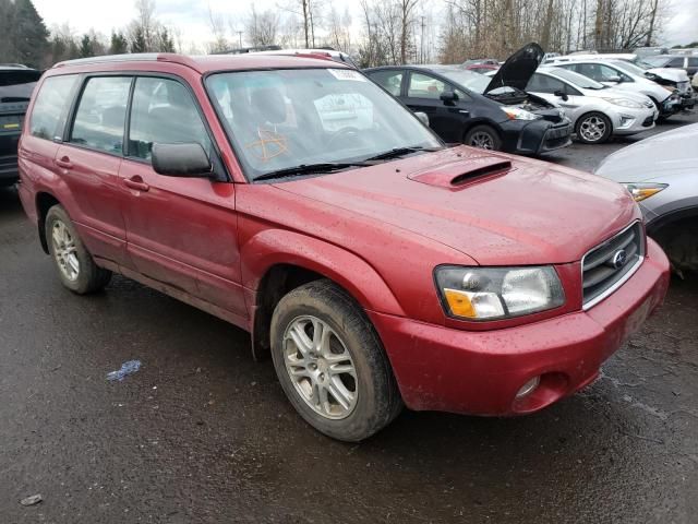 JF1SG69644H726357-2004-subaru-forester-0