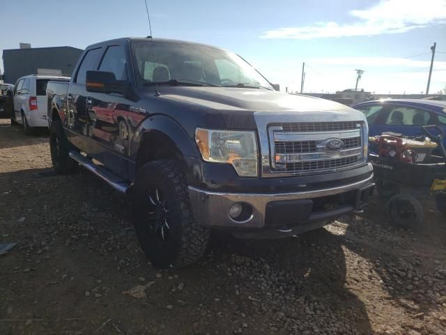 1FTFW1ET1DFD60513-2013-ford-f-150-0