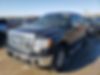 1FTFW1ET6DKD53841-2013-ford-f-150-1