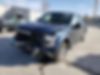 1FTEW1EP8GKF39691-2016-ford-f-150-1