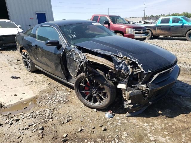 1ZVBP8AM4C5273905-2012-ford-mustang-0