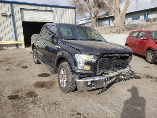 1FTEW1CPXFKF02031-2015-ford-f-150-0