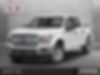 1FTEW1EP1KFA57064-2019-ford-f-150-0