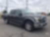 1FTEW1EP9GFA69924-2016-ford-f-150-0