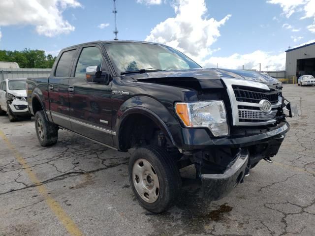 1FTFW1ET9BFB24253-2011-ford-f-150-0