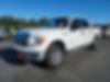 1FTFW1ET7BFD16450-2011-ford-f-150-0