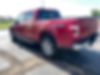 1FTFW1E88MKD01591-2021-ford-f-150-1