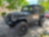 1J4FY29S2PP235191-1993-jeep-wrangler
