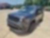 ZACCJBBT3GPD43600-2016-jeep-renegade-2